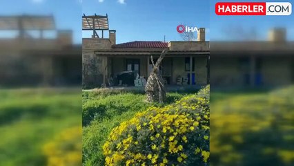 Bozcaada'da 36 Turizm İşletmesi Mühürlendi