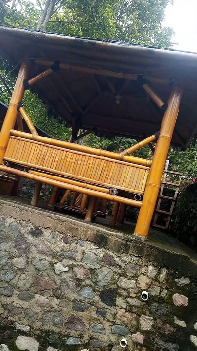 VID_20250131_112433