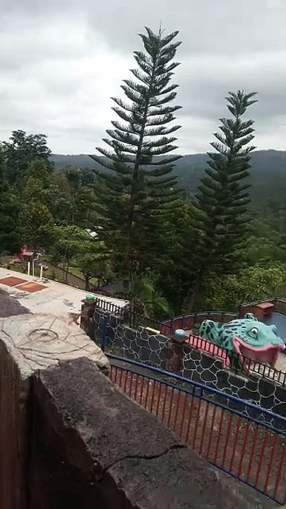 VID_20250131_115405