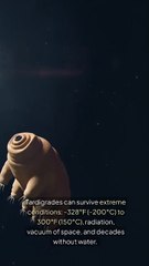 Tardigrades Survive
