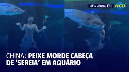 Peixe morde cabeça de 'sereia' em aquário na China