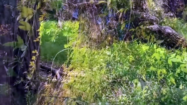 عثمان 179 اعلان 1 مصير حليمة وسقوطها _ عثمان يدخل بورصة _ نهاية لوكاس