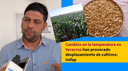 Cambios en la temperatura en Veracruz han provocado desplazamiento de cultivos: Inifap