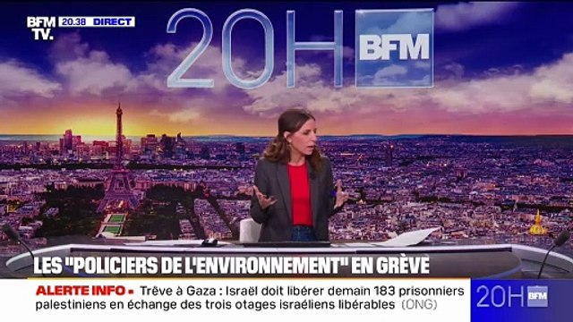 L'ENQUÊTE DU 20H BFM - Les policiers de l'environnement en grève