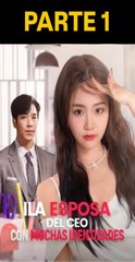 LA ESPOSA DEL CEO CON MUCHAS IDENTIDADES PARTE 1