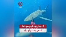 قرش يهاجم صيادًا في إسرائيل