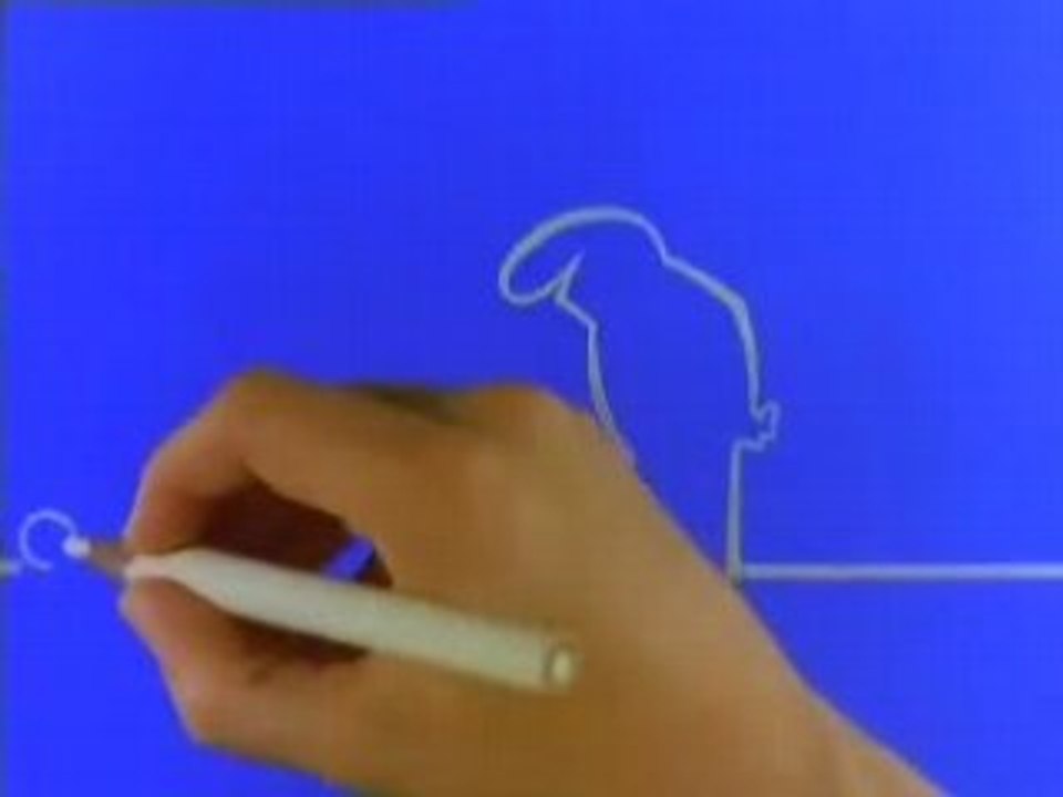 Oyunsal.net Türkçe Bay Meraklı Olimpiyat