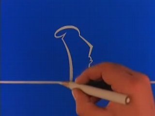 Oyunsal.net Türkçe Bay Meraklı Ördek