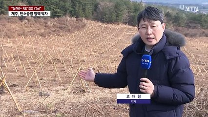 "올해는 RE100 감귤"...제주도, 탄소 중립 정책 박차 / YTN