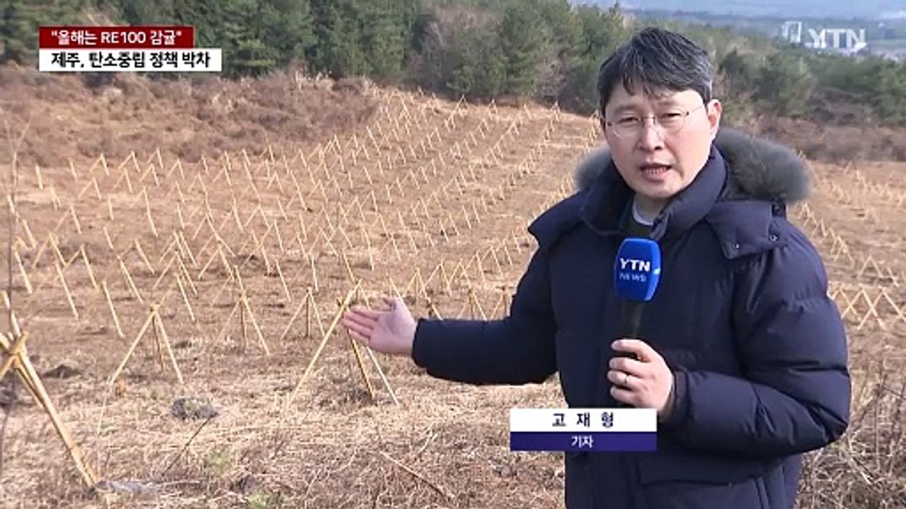"올해는 RE100 감귤"...제주도, 탄소 중립 정책 박차 / YTN