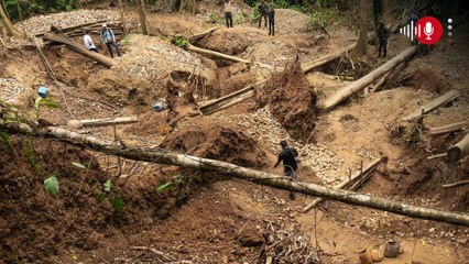 Desmantelan red de minería ilegal vinculada al Clan del Golfo en Panamá