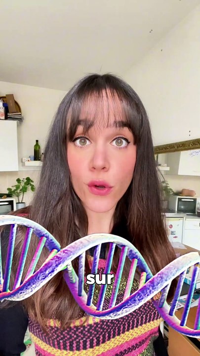 💡A ton avis, sommes nous tous cousins ?  Savais tu que la personne avec tu dors, avec qui tu manges le midi à la cantine, que tu klaxonnes et traité de tous les noms au feu rouge est en fait… DE TA FAMILLE !