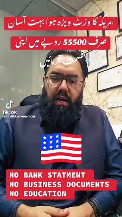 visa_consultant