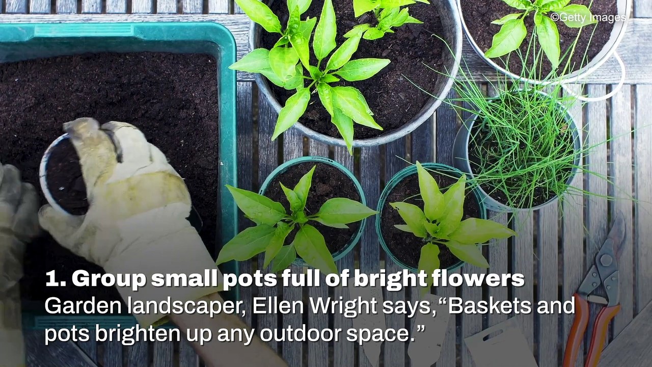 Budget Garden Ideas