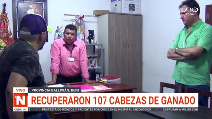 Recuperan 107 cabezas de ganados
