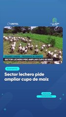 Sector lechero pide ampliar cupo de maíz