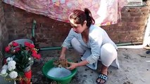 Aj Mena Apna Rom Clean Kiya || Today waking Day | Real Life Pakistan village lifestyle panjab