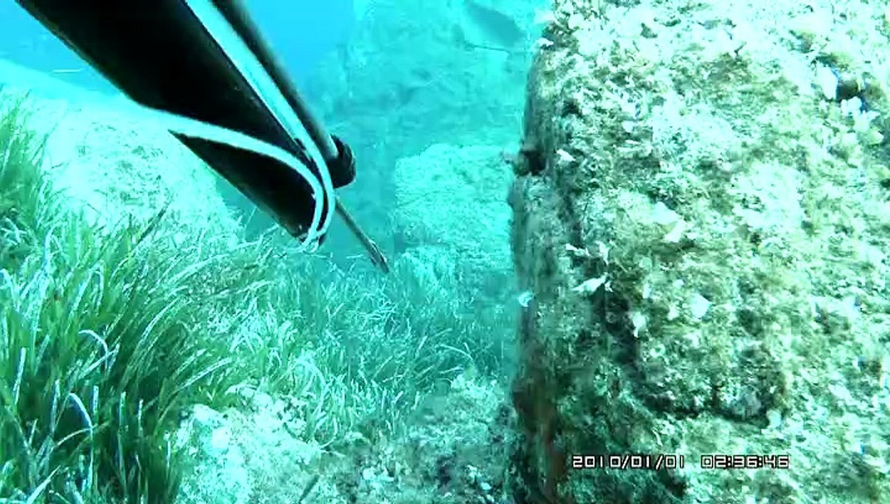 pêche en corse 2011