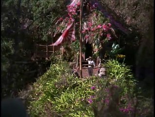 El ultimo vuelo del arca de Noe - 1980