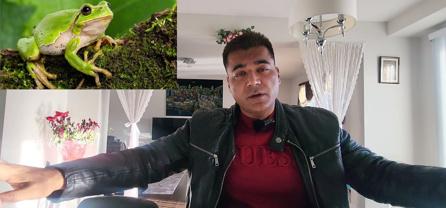 Social Media Online Jobs Word Excel PowerPoint Computer Basics Only These Skills of Today Youngsters