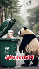 A nanny panda 🐼😍❣️
