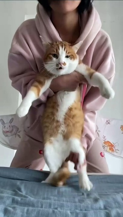 Hund springt ins Wasser! 20250201