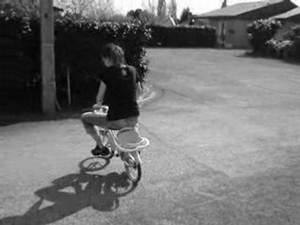 MOV00446