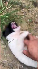 Just keep teasing people🤪