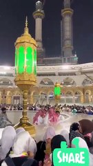Kabay_ki_ronaq_#love_#shortfeed_#shortfeed_#shortsvideo#cartoon_#cute(360p)