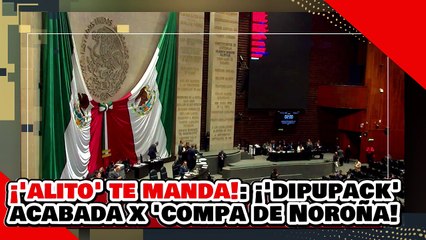 ¡TU PADROTE TE MANDA! ¡’DIPUPACK de ALITO’ es PULVERIZADA por UNA COMPAÑERA de NOROÑA!