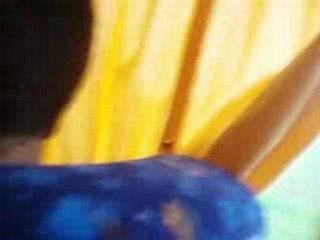 Journée a Versailles