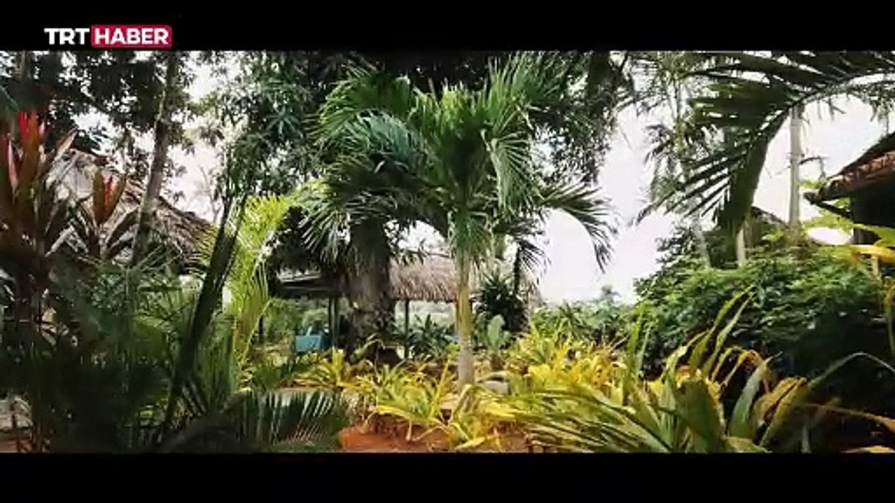 Renklerin, dansın ve okyanusun ülkesi: Küba