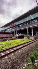 Mulai Ditinggal Sendirian 🤭😅😅😅