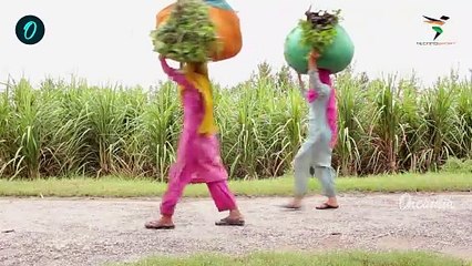 Union Budget 2025: ರೈತರಿಗೆ ಭರ್ಜರಿ ಗುಡ್ ನ್ಯೂಸ್ ಕೊಟ್ಟ ಮೋದಿ ಸರ್ಕಾರ