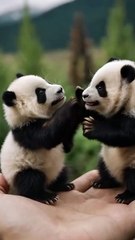 two cutes panda and two elephant, AI