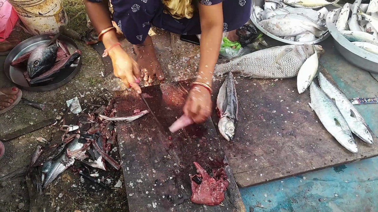 Mackerel & Baby Shark Fish Cutting at Indian Fish Market – Must Watch!