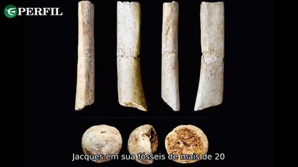 "Descobertas incríveis: Fóssil humano japonês, dinossauro egípcio e mistério dos anéis australianos revelados!"