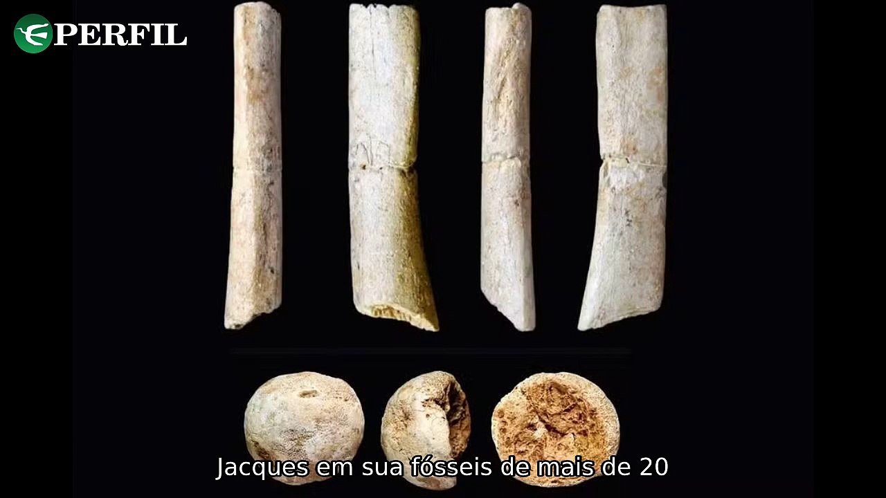 "Descobertas incríveis: Fóssil humano japonês, dinossauro egípcio e mistério dos anéis australianos revelados!"