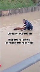 Cecina, il salvataggio di un anziano col cane nel sottopasso allagato