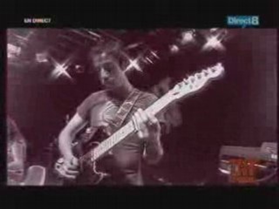 Domy fidanza - geordie