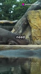 ScreenRecording_02-01-2025 20-17-34_1