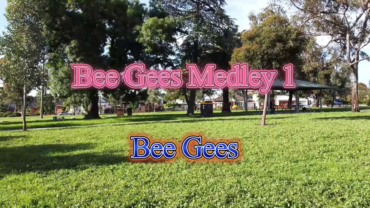Bee Gees Medley 1 Video Karaoke