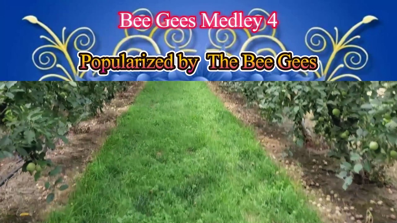 Bee Gees Medley 4 Video Karaoke