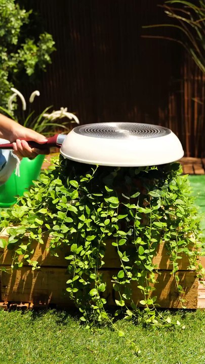 Unexpected uses of kitchen items!