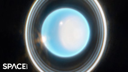 Uranus In 4K - James Webb Space Telescope Sees The Planet, Rings And Moons