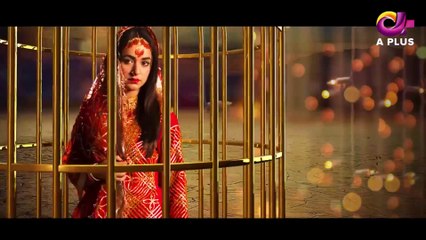 Pinjra - Episode 25 Aplus Gold