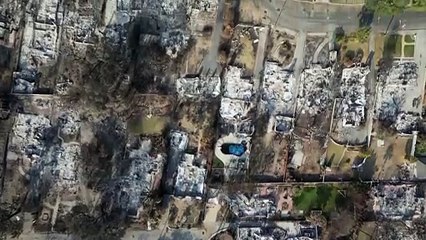 Ativos por mais de três semanas, incêndios de Los Angeles estão completamente controlados