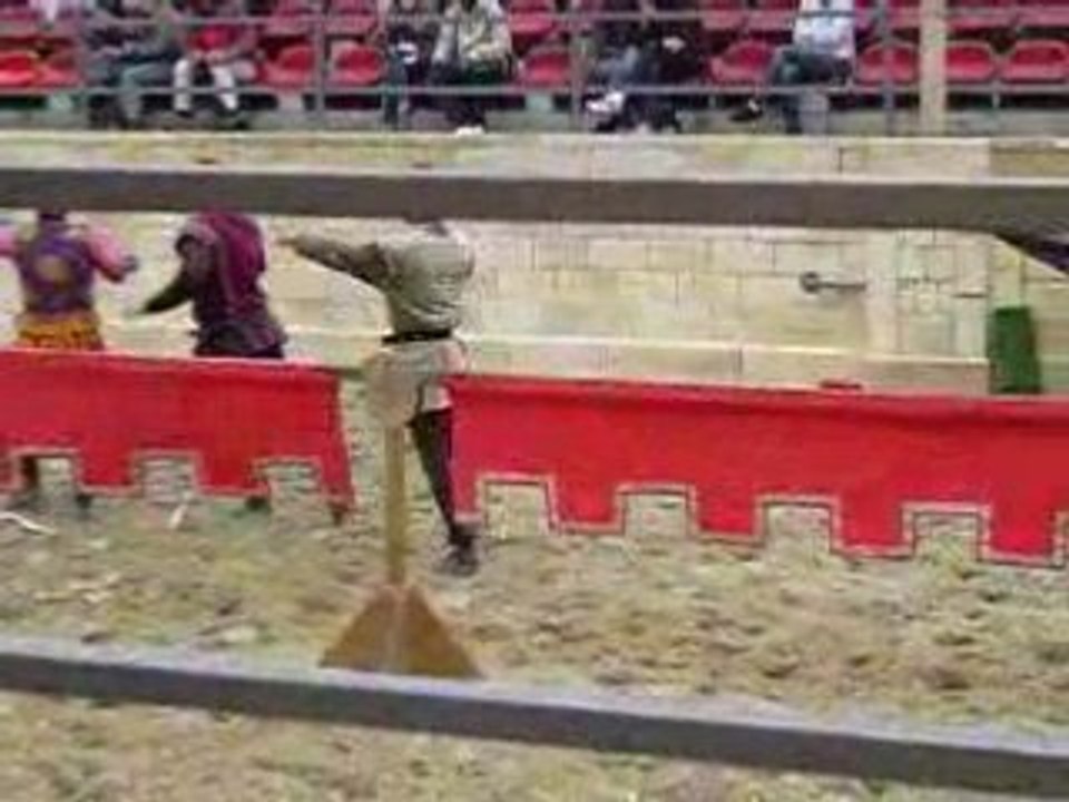 combat chevalier