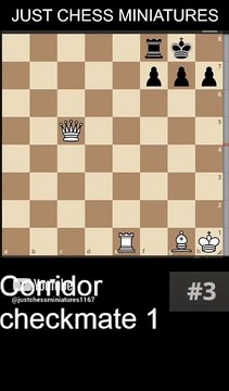 NN vs NN. Corridor checkmate 1 #chess