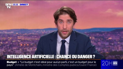 L'ENQUÊTE DU 20H - L'intelligence artificielle, une chance ou un danger?